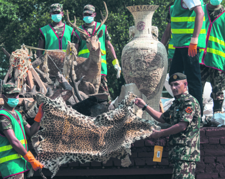 Animal trophies set on fire in Chitwan